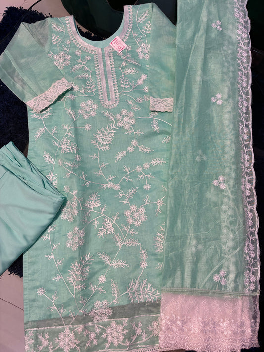 Mint Glow Resham Suit Set