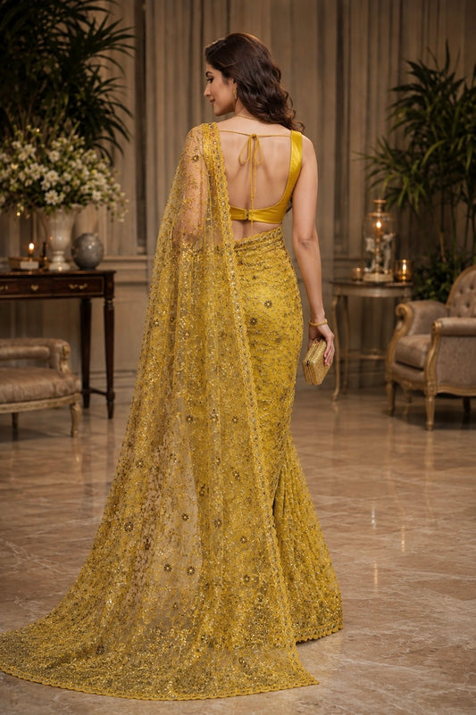 Sequenced Golden Net Saree