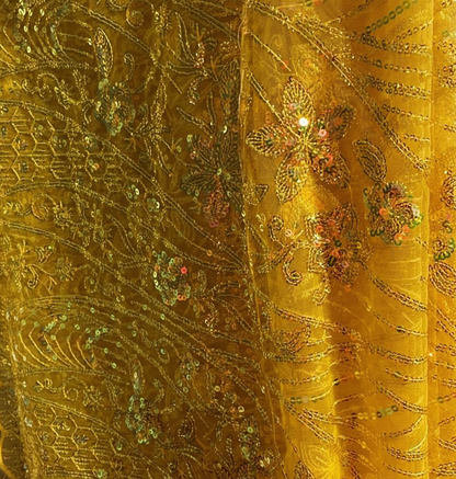 Sequenced Luxe Net Saree