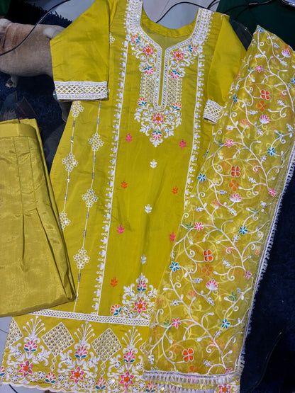 Zari Gulnaar Embroidered Suit Set